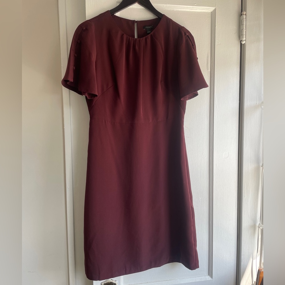 Maroon Flutter Sleeve Dress Ann Taylor